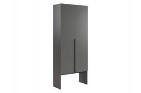 БАСКО Шкаф двухдверный L800 (графит) в Белоярском (ХМАО) - beloiarskii.ok-mebel.com | фото