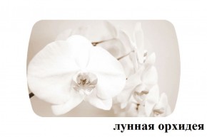 БОСТОН - 2 опоры Триумф в Белоярском (ХМАО) - beloiarskii.ok-mebel.com | фото 18