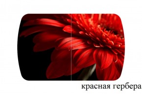 БОСТОН - 2 опоры Триумф в Белоярском (ХМАО) - beloiarskii.ok-mebel.com | фото 50