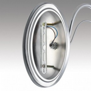 Бра Lumion INCANTO 8034/1W в Белоярском (ХМАО) - beloiarskii.ok-mebel.com | фото 7