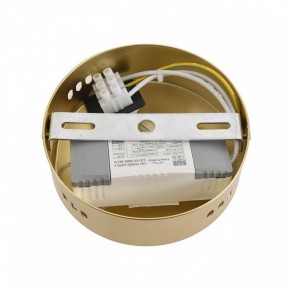 Бра Lumion TRENDY 8259/15WCL в Белоярском (ХМАО) - beloiarskii.ok-mebel.com | фото 7