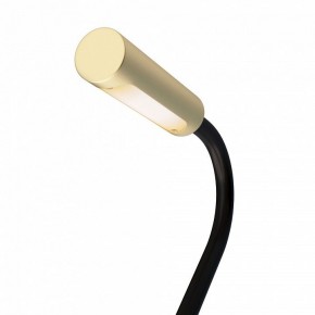 Бра Maytoni Stem C035WL-L3MG3K в Белоярском (ХМАО) - beloiarskii.ok-mebel.com | фото 6