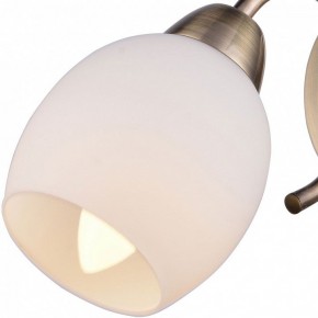 Бра TopLight Merry TL3780B-01AB в Белоярском (ХМАО) - beloiarskii.ok-mebel.com | фото 2