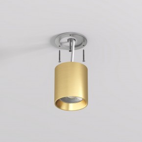 DK2610-SB Накладной светильник SHINE TUBE со светодиодом, D70*H80, IP20, 3000К, 10W, RA?90, сатинированная латунь, алюминий в Белоярском (ХМАО) - beloiarskii.ok-mebel.com | фото 3