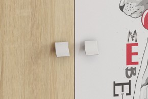 ЭНЕРДЖИ Шкаф 2-створчатый в Белоярском (ХМАО) - beloiarskii.ok-mebel.com | фото 4