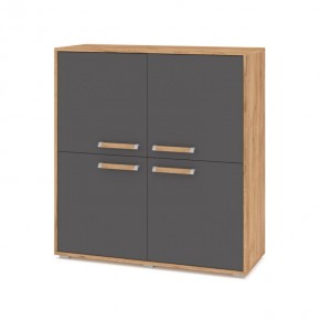 ФЛОРИДА Ф43 Комод (дуб золотой/графит) в Белоярском (ХМАО) - beloiarskii.ok-mebel.com | фото