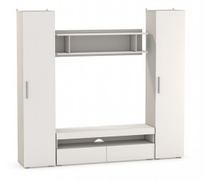Гостиная Альба компоновка 1 в Белоярском (ХМАО) - beloiarskii.ok-mebel.com | фото