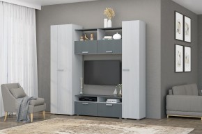 Гостиная Эмми (Анкор светлый/Графит) в Белоярском (ХМАО) - beloiarskii.ok-mebel.com | фото