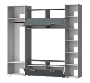 Гостиная Эмми (Анкор светлый/Графит) в Белоярском (ХМАО) - beloiarskii.ok-mebel.com | фото 3