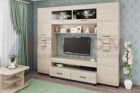 Гостиная Камелия Композиция 10 (Ясень Асахи) в Белоярском (ХМАО) - beloiarskii.ok-mebel.com | фото