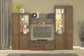 Гостиная Карина Композиция 24 (Акация Молдау) в Белоярском (ХМАО) - beloiarskii.ok-mebel.com | фото