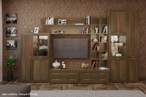 Гостиная Карина Композиция 5 (Акация Молдау) в Белоярском (ХМАО) - beloiarskii.ok-mebel.com | фото