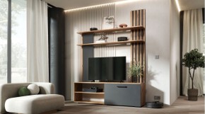 КАРОЛИНА Гостиная (дуб вотан/графит) в Белоярском (ХМАО) - beloiarskii.ok-mebel.com | фото