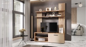 КАРОЛИНА Гостиная (дуб вотан/кашемир) в Белоярском (ХМАО) - beloiarskii.ok-mebel.com | фото
