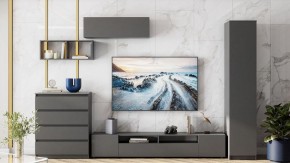 Комод Сибити в Белоярском (ХМАО) - beloiarskii.ok-mebel.com | фото 5