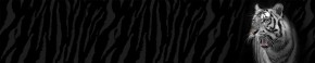 Кухонный фартук Фауна 055 МДФ матовый (3000) Fauna в Белоярском (ХМАО) - beloiarskii.ok-mebel.com | фото
