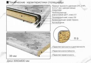 Кухонный фартук со столешницей (А-010) в едином стиле (3050 мм) в Белоярском (ХМАО) - beloiarskii.ok-mebel.com | фото 7