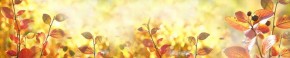 Кухонный фартук Цветы 318 МДФ матовый (3000) Flowers в Белоярском (ХМАО) - beloiarskii.ok-mebel.com | фото 1