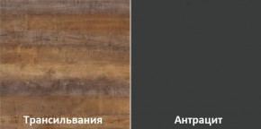 Кухонный гарнитур угловой Трансильвания 2600х1600 мм (Стол. 38 мм) в Белоярском (ХМАО) - beloiarskii.ok-mebel.com | фото 3