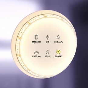 Лента светодиодная Maytoni Led strip 10114 в Белоярском (ХМАО) - beloiarskii.ok-mebel.com | фото 2