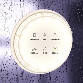 Лента светодиодная Maytoni Led strip 10132 в Белоярском (ХМАО) - beloiarskii.ok-mebel.com | фото 2