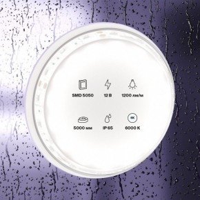 Лента светодиодная Maytoni Led strip 10133 в Белоярском (ХМАО) - beloiarskii.ok-mebel.com | фото 2