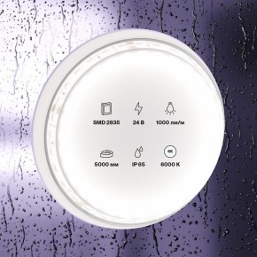 Лента светодиодная Maytoni Led strip 10147 в Белоярском (ХМАО) - beloiarskii.ok-mebel.com | фото 2
