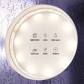Лента светодиодная Maytoni Led strip 10164 в Белоярском (ХМАО) - beloiarskii.ok-mebel.com | фото 2