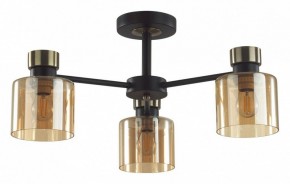Люстра на штанге Lumion ARLIN 5643/3C в Белоярском (ХМАО) - beloiarskii.ok-mebel.com | фото
