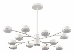 Люстра на штанге Lumion TORINA 8265/12 в Белоярском (ХМАО) - beloiarskii.ok-mebel.com | фото