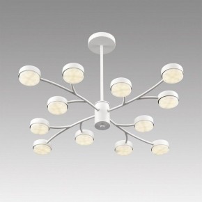 Люстра на штанге Lumion TORINA 8265/12 в Белоярском (ХМАО) - beloiarskii.ok-mebel.com | фото 5