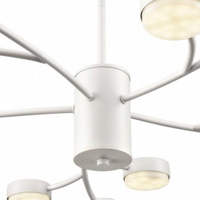 Люстра на штанге Lumion TORINA 8265/15 в Белоярском (ХМАО) - beloiarskii.ok-mebel.com | фото 8