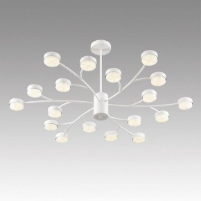 Люстра на штанге Lumion TORINA 8265/18 в Белоярском (ХМАО) - beloiarskii.ok-mebel.com | фото 5