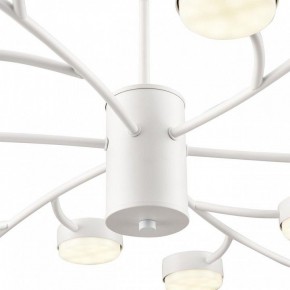 Люстра на штанге Lumion TORINA 8265/18 в Белоярском (ХМАО) - beloiarskii.ok-mebel.com | фото 8