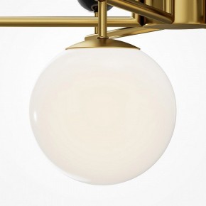 Люстра на штанге Maytoni Museo MOD436PL-07BS в Белоярском (ХМАО) - beloiarskii.ok-mebel.com | фото 4