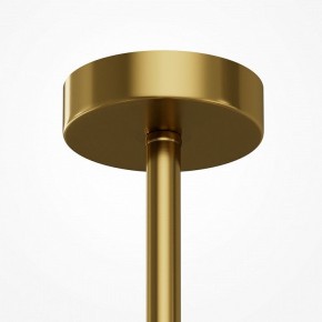 Люстра на штанге Maytoni Museo MOD436PL-07BS в Белоярском (ХМАО) - beloiarskii.ok-mebel.com | фото 5