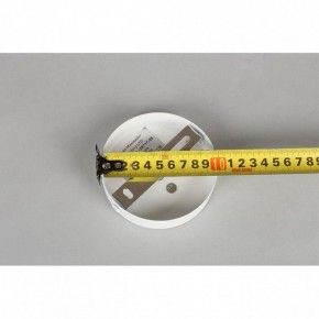 Люстра на штанге Omnilux Mearino OML-29717-08 в Белоярском (ХМАО) - beloiarskii.ok-mebel.com | фото 10