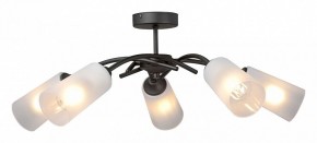 Люстра на штанге Vitaluce V2850 V2850-1/5PL в Белоярском (ХМАО) - beloiarskii.ok-mebel.com | фото