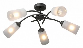 Люстра на штанге Vitaluce V2850 V2850-1/5PL в Белоярском (ХМАО) - beloiarskii.ok-mebel.com | фото 2