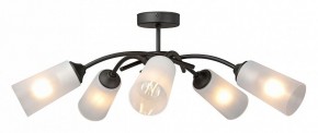 Люстра на штанге Vitaluce V2850 V2850-1/5PL в Белоярском (ХМАО) - beloiarskii.ok-mebel.com | фото 3