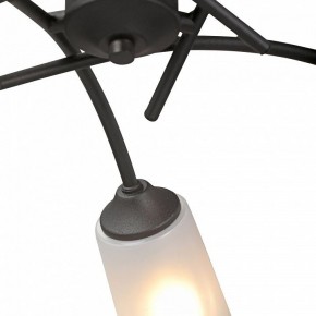 Люстра на штанге Vitaluce V2850 V2850-1/5PL в Белоярском (ХМАО) - beloiarskii.ok-mebel.com | фото 6
