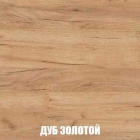 МСП-1 Шкаф 2-х створчатый (Дуб Золотой/Камень темный) в Белоярском (ХМАО) - beloiarskii.ok-mebel.com | фото 4