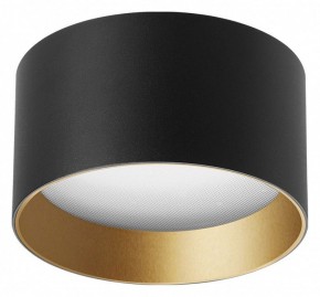 Накладной светильник Arlight BISCOTTO 055025 в Белоярском (ХМАО) - beloiarskii.ok-mebel.com | фото