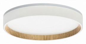Накладной светильник Citilux Etalon CL750240 в Белоярском (ХМАО) - beloiarskii.ok-mebel.com | фото