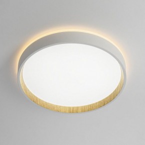 Накладной светильник Citilux Etalon CL750240 в Белоярском (ХМАО) - beloiarskii.ok-mebel.com | фото 10