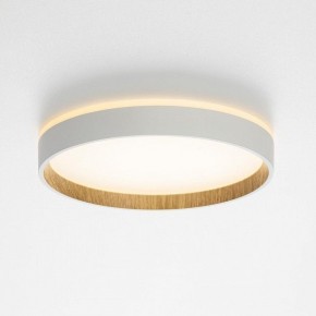 Накладной светильник Citilux Etalon CL750240 в Белоярском (ХМАО) - beloiarskii.ok-mebel.com | фото 4