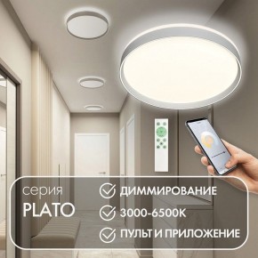 Накладной светильник Denkirs PLATO DK6511-WH/1 в Белоярском (ХМАО) - beloiarskii.ok-mebel.com | фото 4