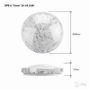 Накладной светильник Эра Классик SPB-6-24-4K (C) в Белоярском (ХМАО) - beloiarskii.ok-mebel.com | фото 6