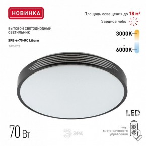 Накладной светильник Эра Классик SPB-6-70-RC Liburn в Белоярском (ХМАО) - beloiarskii.ok-mebel.com | фото 10