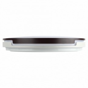 Накладной светильник Эра Классик SPB-6-70-RC Sance в Белоярском (ХМАО) - beloiarskii.ok-mebel.com | фото 3